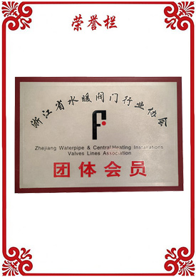 Group member of Zhejiang water heating valve Association